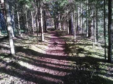 Фото номера Дом с 2 спальнями Дома для отпуска Haudamäe Holiday Home г. Meelva 77