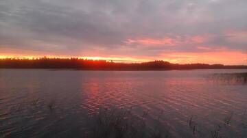 Фото номера Дом с 2 спальнями Дома для отпуска Haudamäe Holiday Home г. Meelva 45