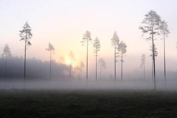 Фото номера Дом с 2 спальнями Дома для отпуска Haudamäe Holiday Home г. Meelva 60