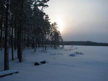Фото номера Дом с 2 спальнями Дома для отпуска Haudamäe Holiday Home г. Meelva 36